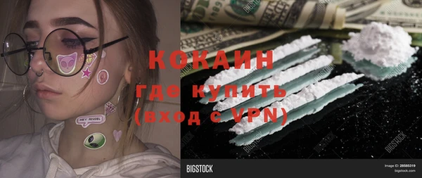 амф Няндома