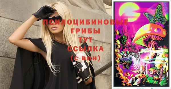 амф Няндома