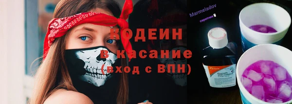 амф Няндома