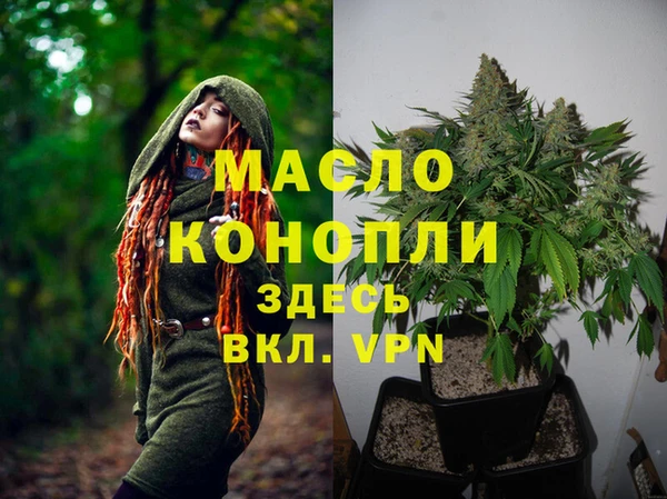 амф Няндома