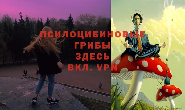 прущие крисы Осташков