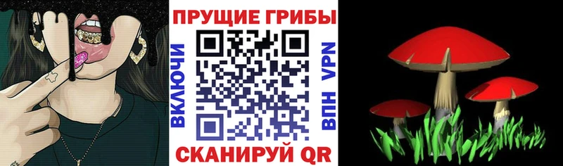 продажа наркотиков  hydra ONION  Псилоцибиновые грибы мухоморы  Избербаш 