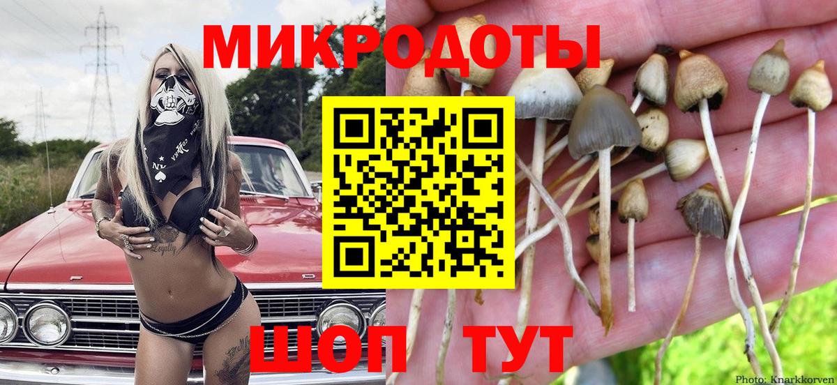 Галлюциногенные грибы мицелий  Псилоцибиновые грибы прущие грибы  Избербаш  Вход с VPN 